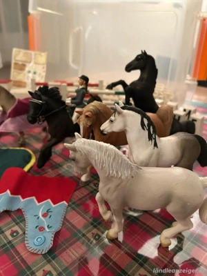 Pferdeparkour mit 9 Pferden, 1 Reiterin Bild 5