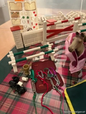 Pferdeparkour mit 9 Pferden, 1 Reiterin Bild 4