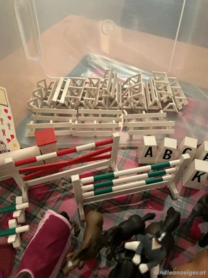 Pferdeparkour mit 9 Pferden, 1 Reiterin Bild 3