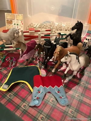 Pferdeparkour mit 9 Pferden, 1 Reiterin Bild 2