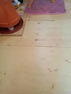 Überall, jederzeit: Mobil wohnen. Bild 10