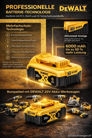20V XR Akku 6,0 Ah   Leistungsstarker Lithium-Ionen-Akku, kompatibel mit DEWALT 20V Werkzeugen