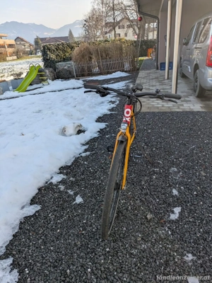 Kraftstoff Trekkingbike Bild 3