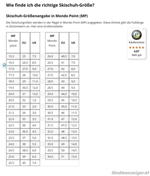 Damen Skischuh Größe 40