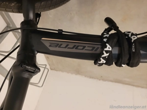 Klappräder#Licorne Bild 3