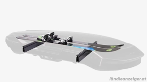 HULE Dachbox + Deckenlift + Skihalter + TOP Zustand Bild 6