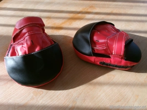 Boxhandschuhe Phoenix Bild 6