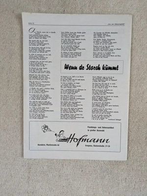 Schnorrapfohl Faschingszeitung Bregenz  Bild 2