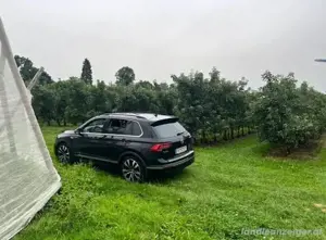 VW Tiguan  Bild 3