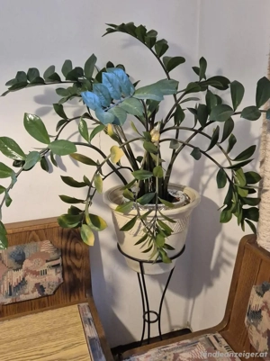 NEU Flohmarkt mit Produkten ab Euro 1,- Teil 4 Bild 3