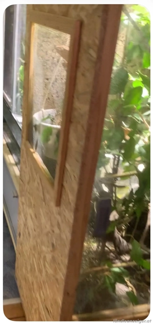 Terrarium 60x60x120 Bild 2