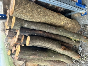 Hartholz Drexeln Bild 4