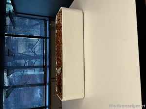 BLUMENKASTEN Kunststoff 580 x 200 x 150 mm Bild 2