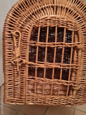 Katzenzubehör: Transportbox und Körbchen Bild 4