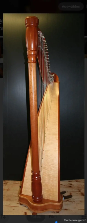 Volksharfe Bild 4