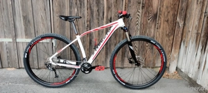 Specialized Rockhopper Mountainbike