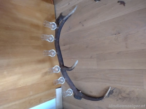 Schnapsglashalter vom hirschgeweih 