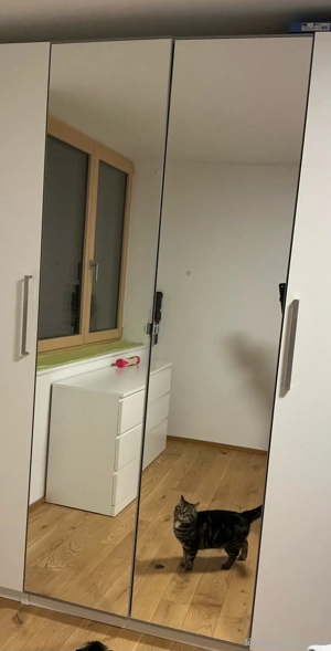 Spiegeltür für Pax Ikea Bild 2