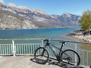 Trek Marlin 5 (L) Bild 4