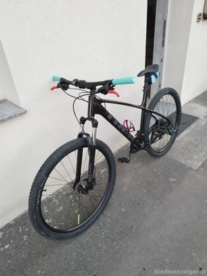 Trek Marlin 5 (L) Bild 2