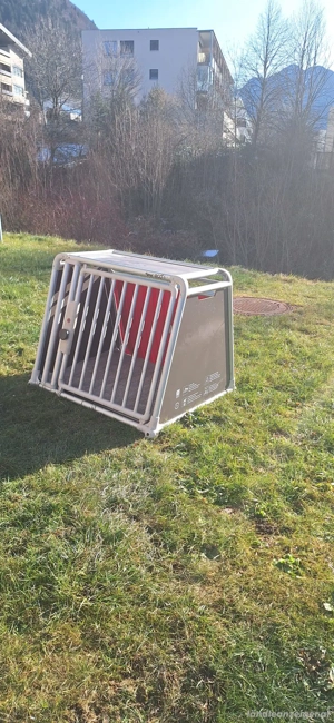 Hundebox fürs Auto Bild 4