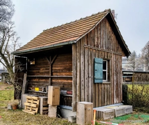 Bienenhaus  abzugeben Bild 3