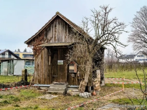 Bienenhaus  abzugeben Bild 2