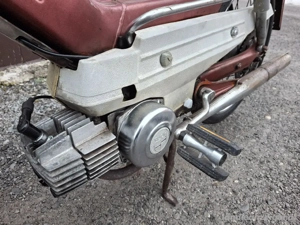 Puch Maxi L Bild 4