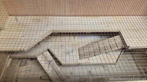 Hamsterkäfig mit Zubehör Bild 5