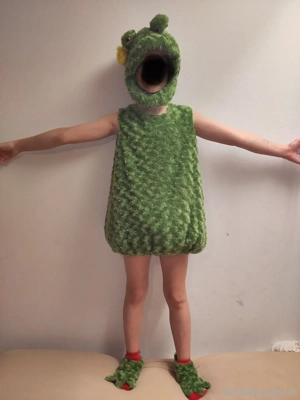 Frosch Kostüm  Bild 3