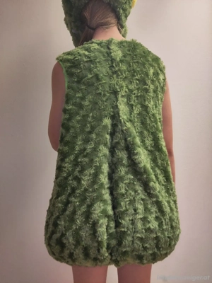 Frosch Kostüm  Bild 4