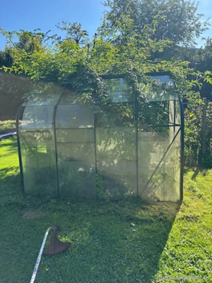 Glashaus.  Bild 4