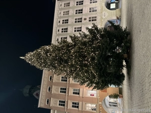 Attraktive Dame , 43 Jahre, mit netten Umgangsformen, bietet , Telefonsex, Rollenspiele, Erziehung,.