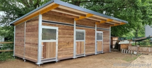 Pferdebox kaufen ideal für Ställe | Außenstall Bild 2