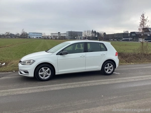 VW Golf 7  Bild 2
