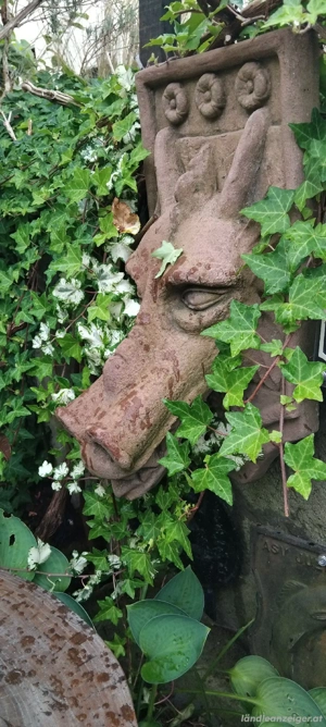  Suche Herzdame  Bild 3