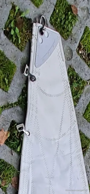 Grossegel,  topzustand  Bild 5