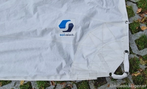 Grossegel,  topzustand  Bild 3