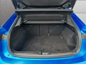 Renault Rafale Bild 10