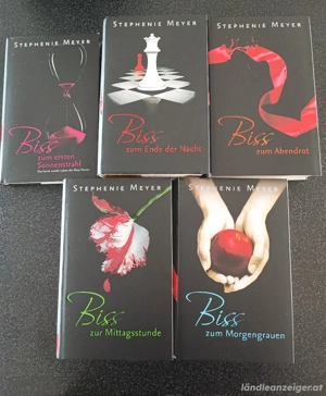 Twilight-Saga    - seht seltener Schuber für Sammler  Bild 8