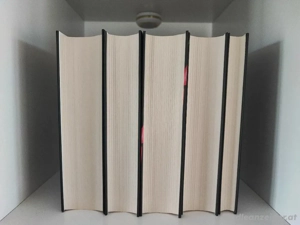 Twilight-Saga    - seht seltener Schuber für Sammler  Bild 4