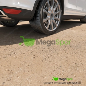 Paddockplatten kaufen - Kiesgitter & Rasengitter für Stall, Paddock Bild 9