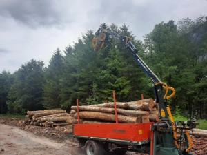 Holzrücke Anhänger mit Tribachse Bild 4