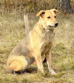 Sinela möchte Teil IHRER Familie werden Bild 5