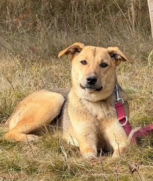 Sinela möchte Teil IHRER Familie werden Bild 3