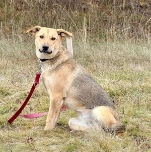 Sinela möchte Teil IHRER Familie werden Bild 2