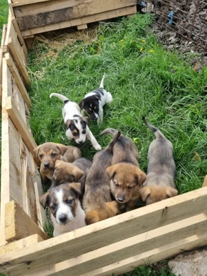 Sinela möchte Teil IHRER Familie werden Bild 9