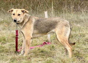 Sinela möchte Teil IHRER Familie werden Bild 4