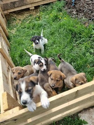 Sinela möchte Teil IHRER Familie werden Bild 7