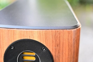 Lautsprecher Elac Vela BS 403 in Nußbaum Bild 3